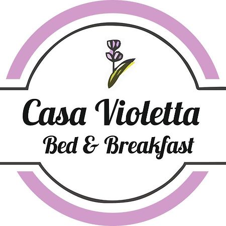 Casa Violetta Bed & Breakfast 马里纳迪马萨 外观 照片