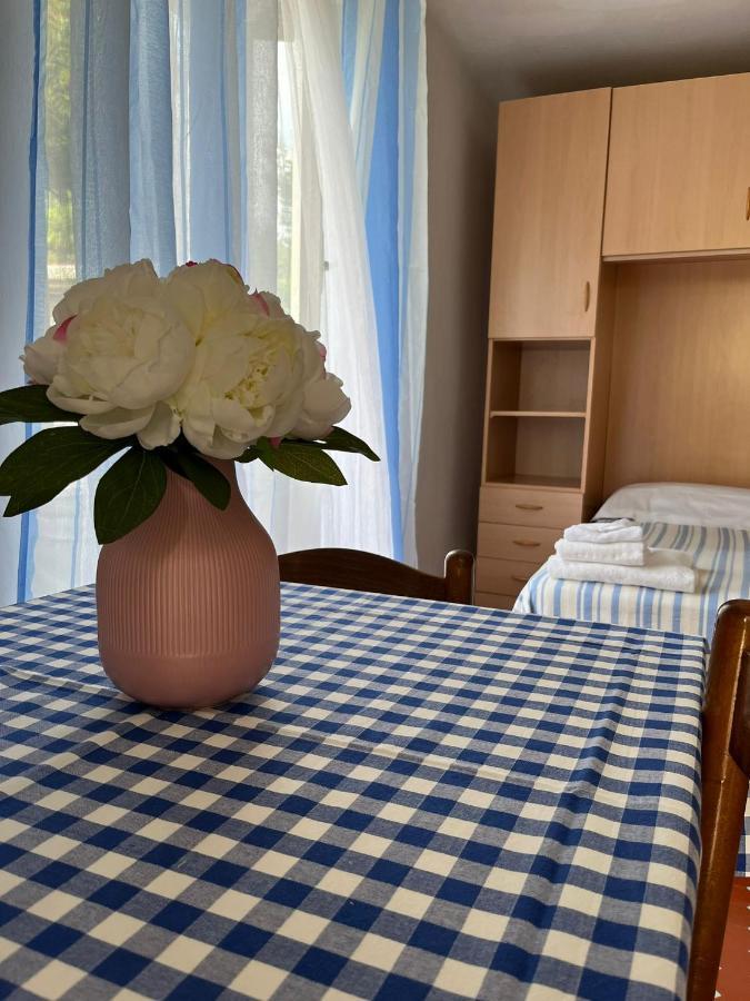 Casa Violetta Bed & Breakfast 马里纳迪马萨 外观 照片