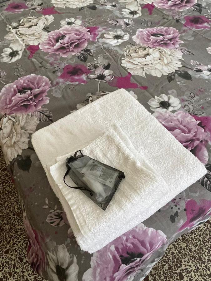 Casa Violetta Bed & Breakfast 马里纳迪马萨 外观 照片
