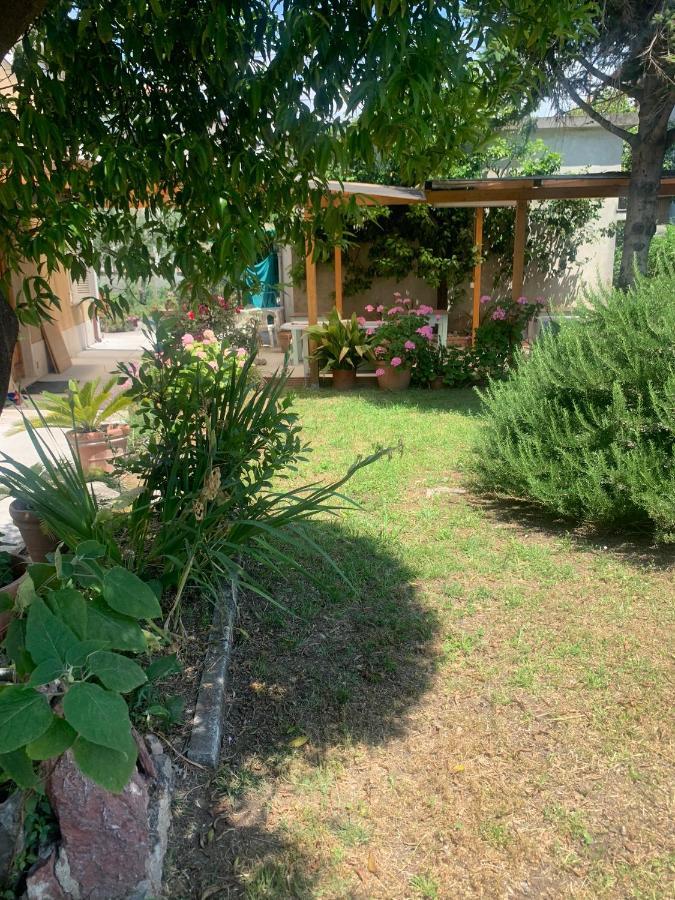 Casa Violetta Bed & Breakfast 马里纳迪马萨 外观 照片