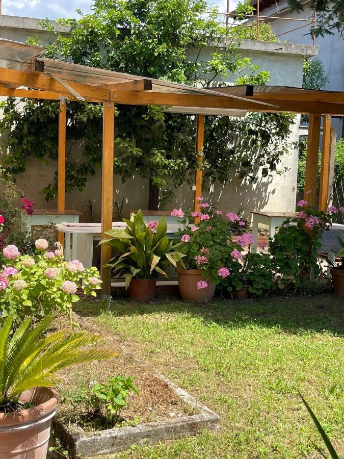 Casa Violetta Bed & Breakfast 马里纳迪马萨 外观 照片